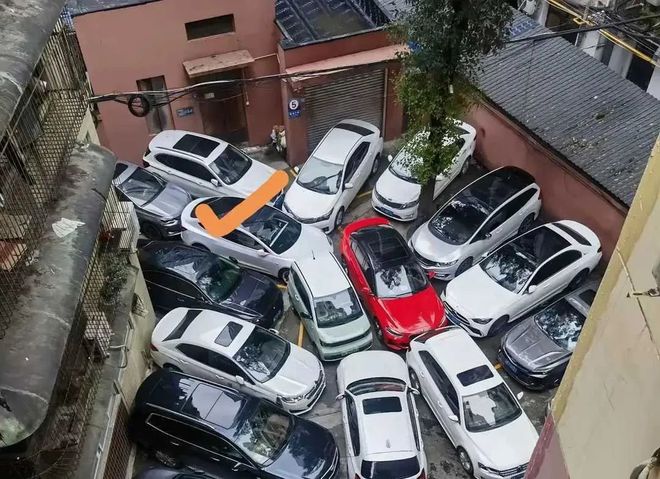 便被捕后罚款上万网友：素质低别来新加坡龙8体育丢脸！一中国男子在新加坡地铁小(图3)