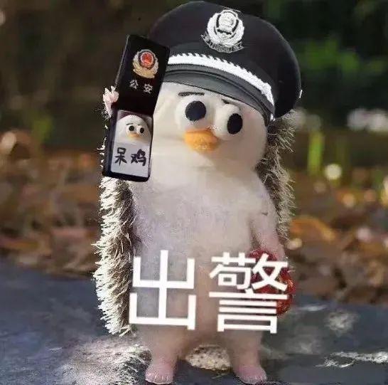 便被捕后罚款上万网友：素质低别来新加坡龙8体育丢脸！一中国男子在新加坡地铁小(图8)