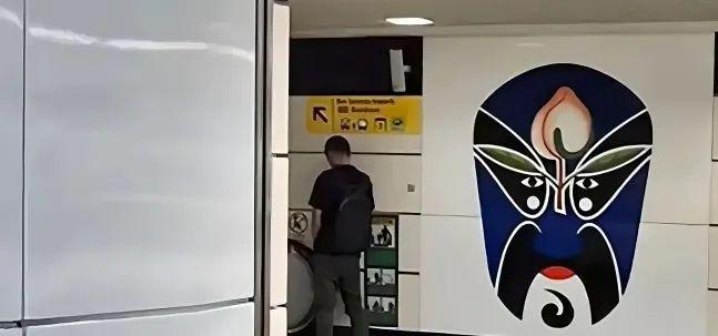 便被捕后罚款上万网友：素质低别来新加坡龙8体育丢脸！一中国男子在新加坡地铁小(图13)