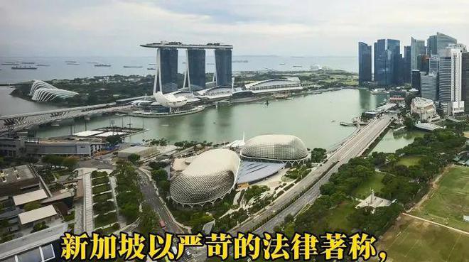 便被捕后罚款上万网友：素质低别来新加坡龙8体育丢脸！一中国男子在新加坡地铁小(图12)